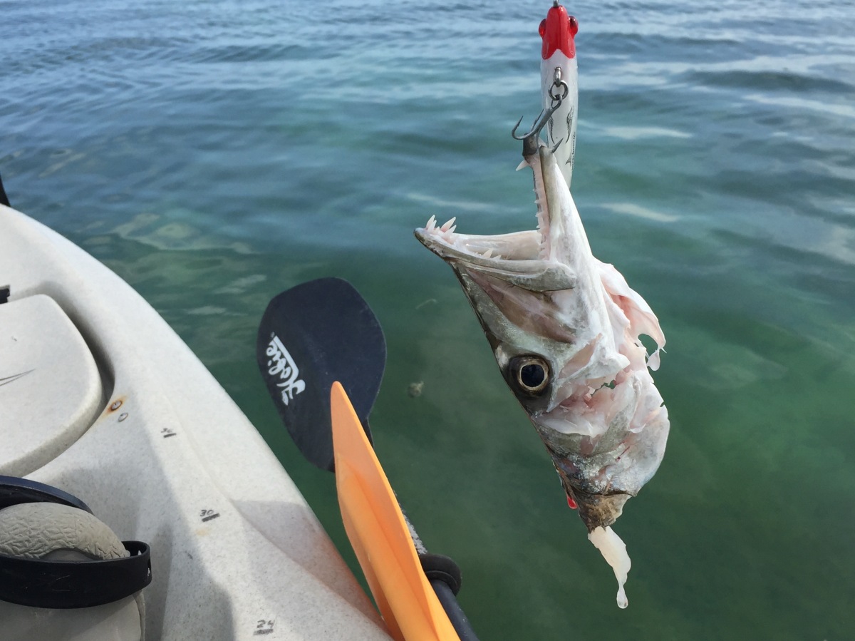 Day Two Of Four Perfect Days Kayak Fishing In the Keys – Off-The