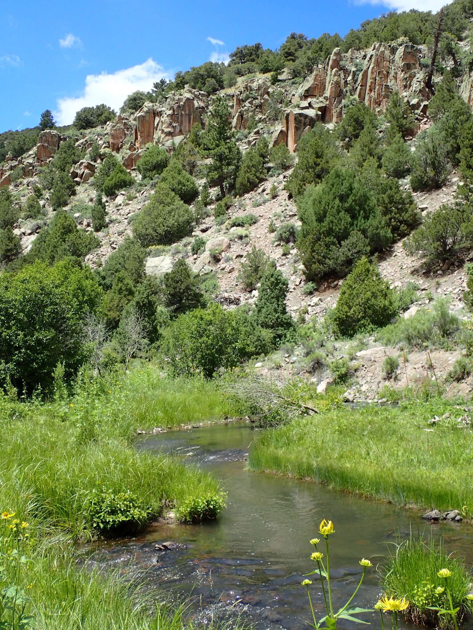 Colorado Dreamin’ On Such A Winter’s Day La Jara Creek Near Alamosa